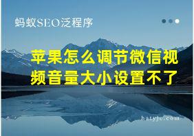 苹果怎么调节微信视频音量大小设置不了