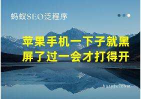 苹果手机一下子就黑屏了过一会才打得开