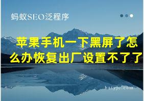 苹果手机一下黑屏了怎么办恢复出厂设置不了了