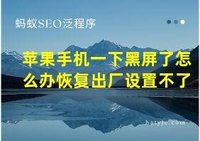 苹果手机一下黑屏了怎么办恢复出厂设置不了