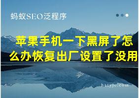 苹果手机一下黑屏了怎么办恢复出厂设置了没用