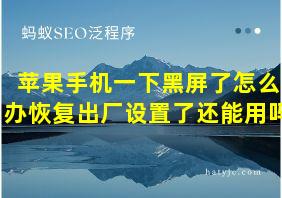 苹果手机一下黑屏了怎么办恢复出厂设置了还能用吗