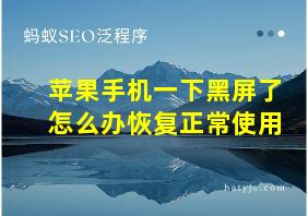 苹果手机一下黑屏了怎么办恢复正常使用