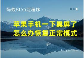 苹果手机一下黑屏了怎么办恢复正常模式