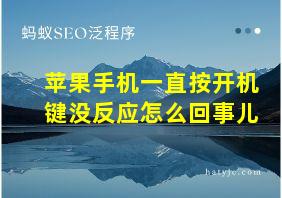 苹果手机一直按开机键没反应怎么回事儿