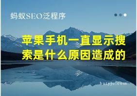 苹果手机一直显示搜索是什么原因造成的