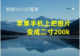 苹果手机上把图片变成二寸200k