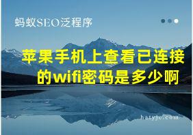 苹果手机上查看已连接的wifi密码是多少啊