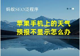 苹果手机上的天气预报不显示怎么办