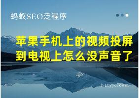 苹果手机上的视频投屏到电视上怎么没声音了