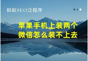 苹果手机上装两个微信怎么装不上去