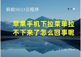 苹果手机下拉菜单拉不下来了怎么回事呢