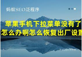 苹果手机下拉菜单没有了怎么办啊怎么恢复出厂设置