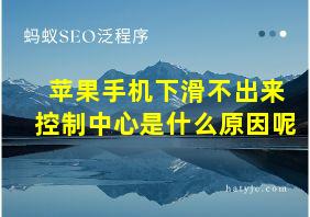 苹果手机下滑不出来控制中心是什么原因呢