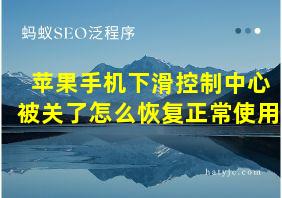 苹果手机下滑控制中心被关了怎么恢复正常使用