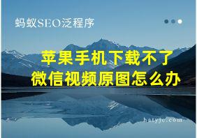 苹果手机下载不了微信视频原图怎么办