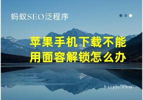 苹果手机下载不能用面容解锁怎么办