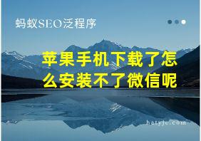 苹果手机下载了怎么安装不了微信呢