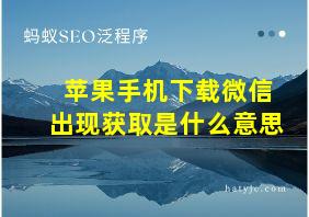 苹果手机下载微信出现获取是什么意思