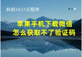 苹果手机下载微信怎么获取不了验证码