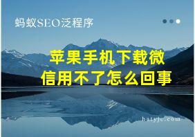 苹果手机下载微信用不了怎么回事