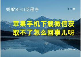 苹果手机下载微信获取不了怎么回事儿呀