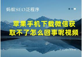 苹果手机下载微信获取不了怎么回事呢视频