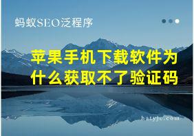 苹果手机下载软件为什么获取不了验证码