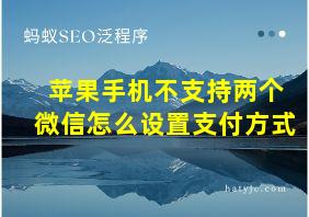 苹果手机不支持两个微信怎么设置支付方式