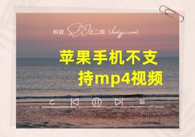 苹果手机不支持mp4视频