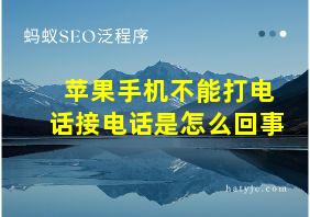 苹果手机不能打电话接电话是怎么回事