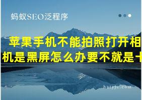 苹果手机不能拍照打开相机是黑屏怎么办要不就是卡