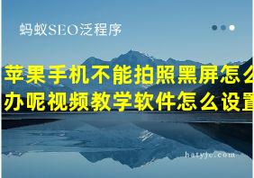 苹果手机不能拍照黑屏怎么办呢视频教学软件怎么设置