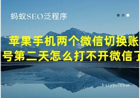 苹果手机两个微信切换账号第二天怎么打不开微信了