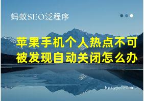 苹果手机个人热点不可被发现自动关闭怎么办