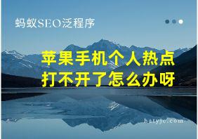 苹果手机个人热点打不开了怎么办呀