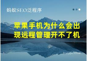 苹果手机为什么会出现远程管理开不了机