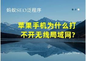 苹果手机为什么打不开无线局域网?