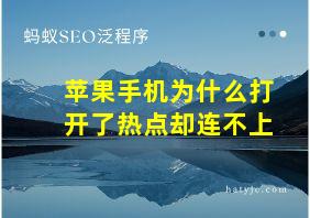 苹果手机为什么打开了热点却连不上