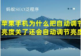 苹果手机为什么把自动调节亮度关了还会自动调节亮度