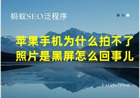 苹果手机为什么拍不了照片是黑屏怎么回事儿