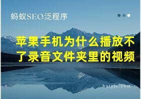 苹果手机为什么播放不了录音文件夹里的视频