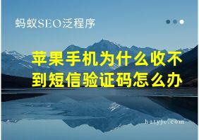 苹果手机为什么收不到短信验证码怎么办