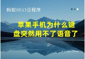 苹果手机为什么键盘突然用不了语音了