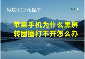 苹果手机为什么黑屏转圈圈打不开怎么办