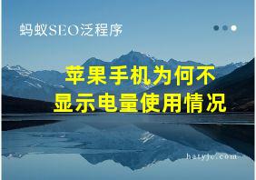 苹果手机为何不显示电量使用情况