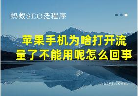 苹果手机为啥打开流量了不能用呢怎么回事