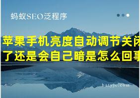 苹果手机亮度自动调节关闭了还是会自己暗是怎么回事