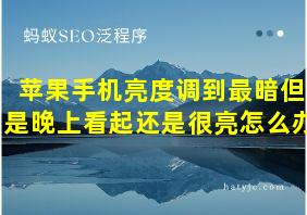 苹果手机亮度调到最暗但是晚上看起还是很亮怎么办