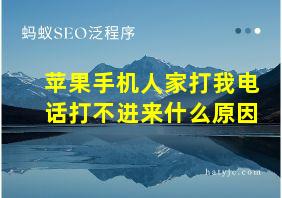 苹果手机人家打我电话打不进来什么原因